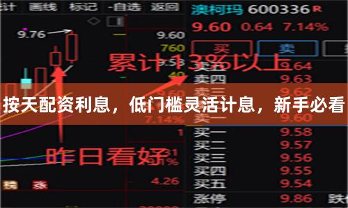 按天配资利息，低门槛灵活计息，新手必看